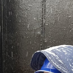 , 33, 