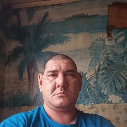 ���, 38 ���, ��������