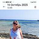 ���� �����, ������������, 53 ���� - ��������� 12 ��� 2026 � ������ ���� ����������