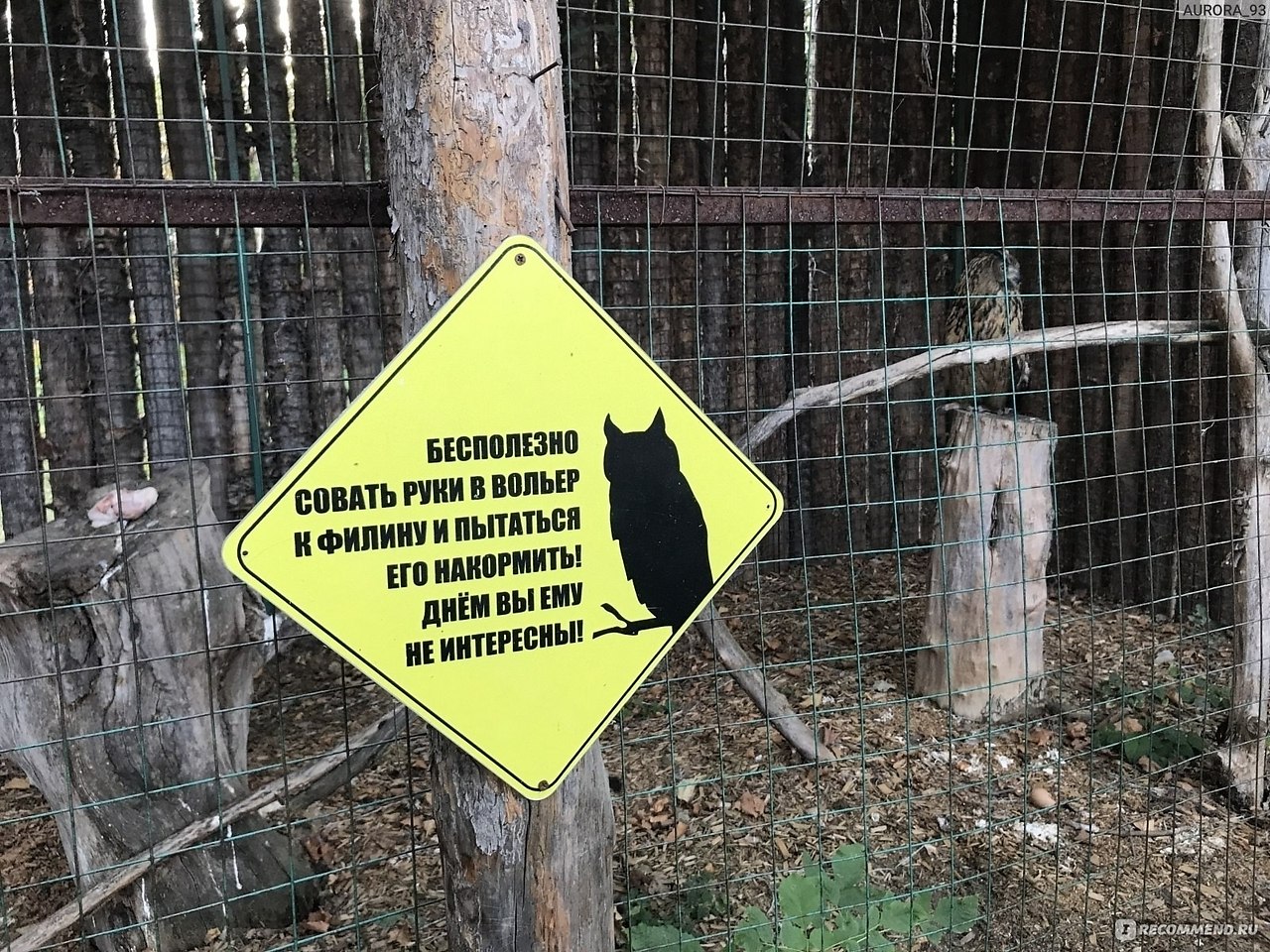 ������� �� ������ - 6