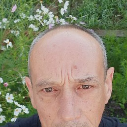 , 55 , -