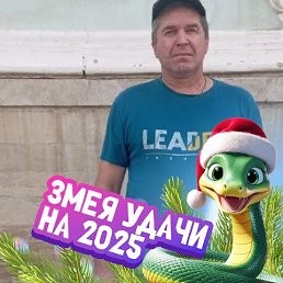 ������, 49 ���, ��������