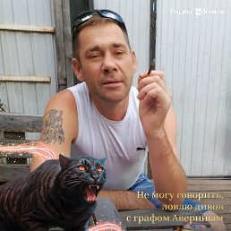 , 46, 