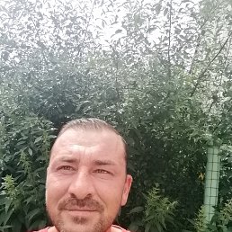 ���� ������, ����, 46 ��� - ��������� 11 ���� 2026