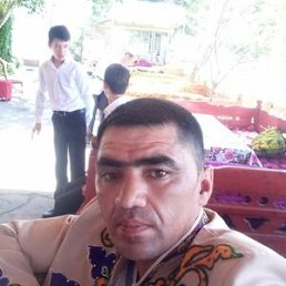 , 37, -