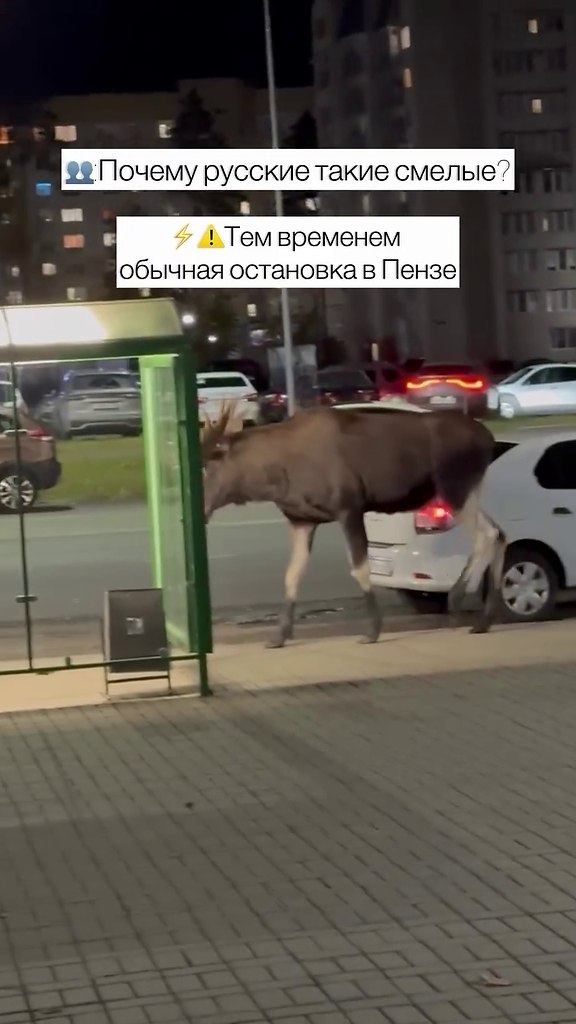 � ��� ��� ������ - 2