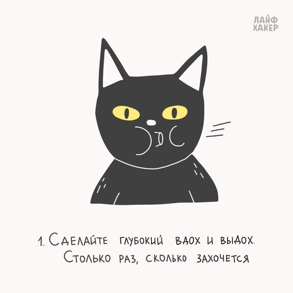 ������� ������� ���������������� ��������� ��������-����������, ������� ������� ��������� �������, ... - 2