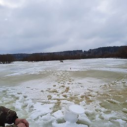 �������, �����, 51 ���