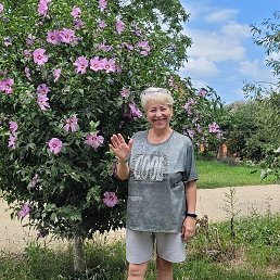 ������, ����� �������, 55 ���