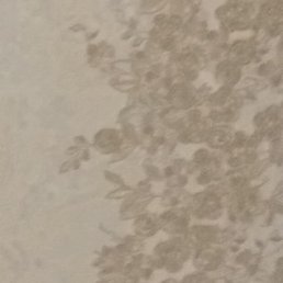 ����, ����, 54 ����