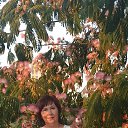 ���� �������, �����, 54 ���� - ��������� 25 ������� 2025 � ������ ���� ����������