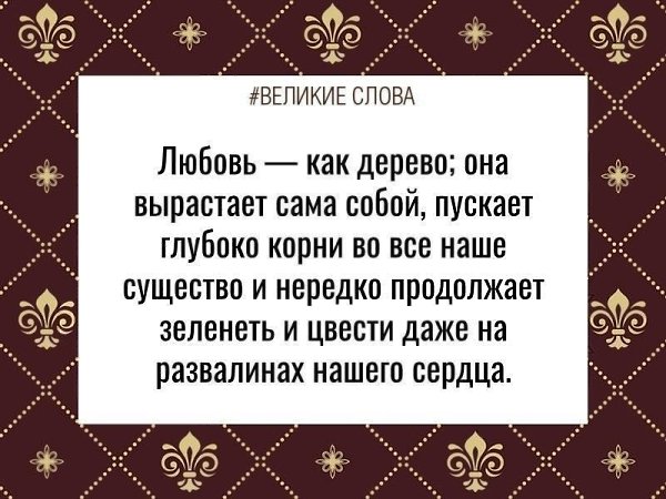 ������� ����� | ������, ����� � �������� - 28 ������ 2025 � 11:36