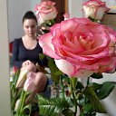 ���� �����, ������, 62 ���� - ��������� 12 ����� 2026 � ������ ���� ����������