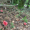 ���� ����, �����������, 67 ��� - ��������� 5 ������� 2024 � ������ ���� ����������