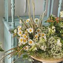 ���� ���������, �����, 41 ��� - ��������� 29 ����� 2024 � ������ ���� ����������