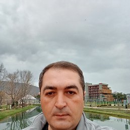 ���� Bravo, �������, 41 ��� - ��������� 30 ����� 2024