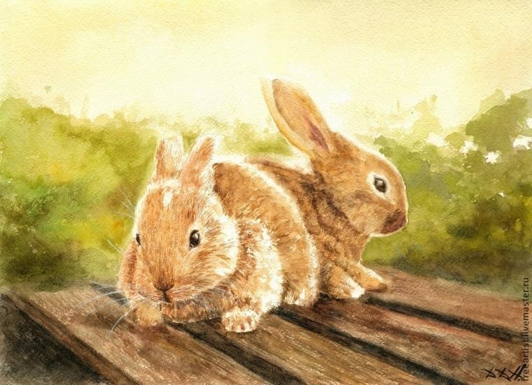   . ( 2).          ... - 6