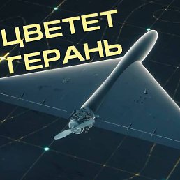 ������, ������-��-����, 42 ����