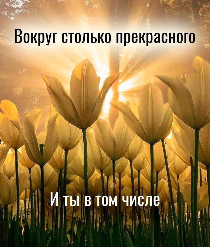   | ,    - 11  2024  13:48