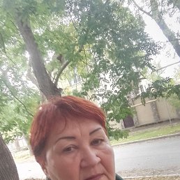 ����, �����, 65 ���