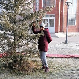 �������, ������, 66 ���