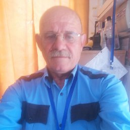 , 65, 