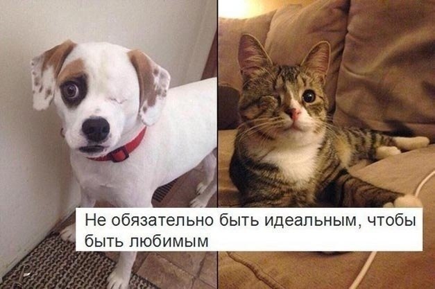  !