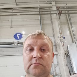 , 41 , 