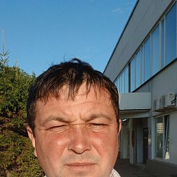, 37, 