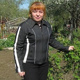 , 51, 