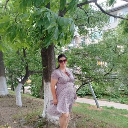 ����������, 33 ����, �������