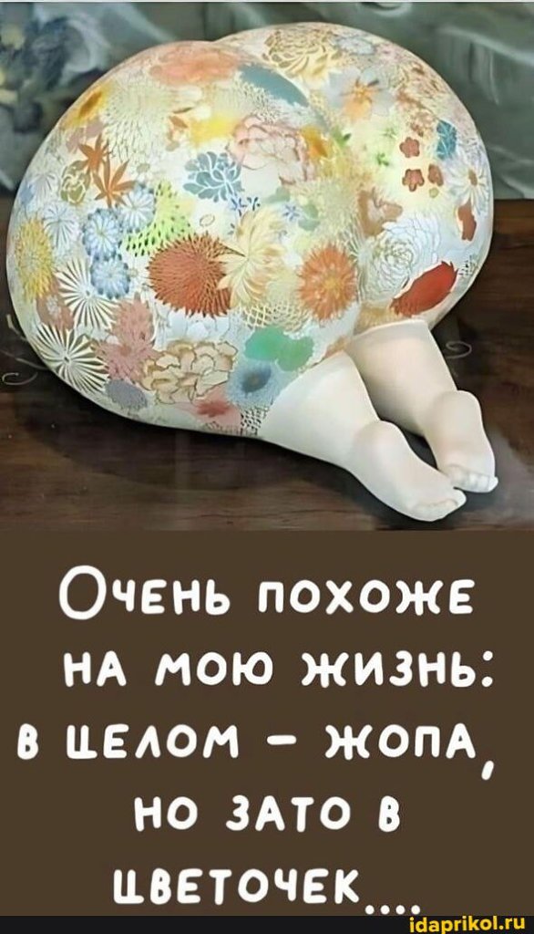   ! - 8  2024  22:55