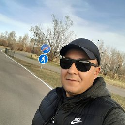 ����, 41 ���, ������