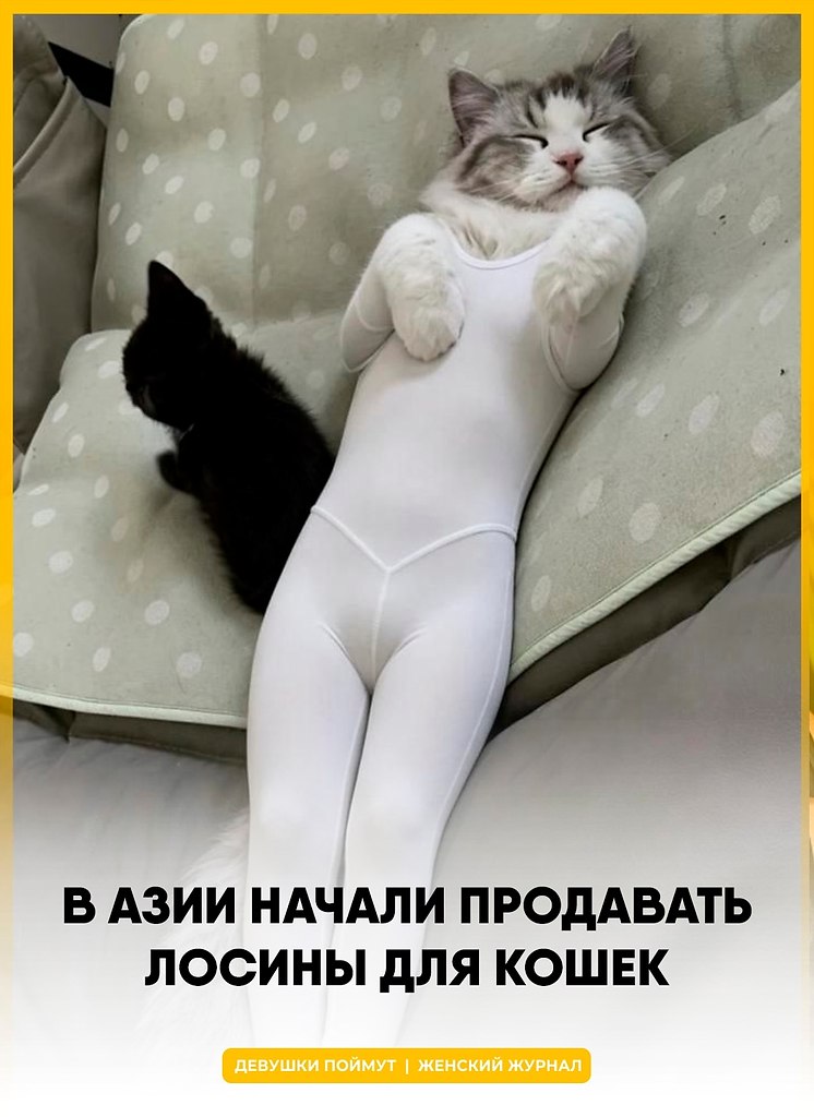 � ��������� ��������� ��������� ������ ��� �����, � ������ ������ ��������� ��������� �� ��������� ...