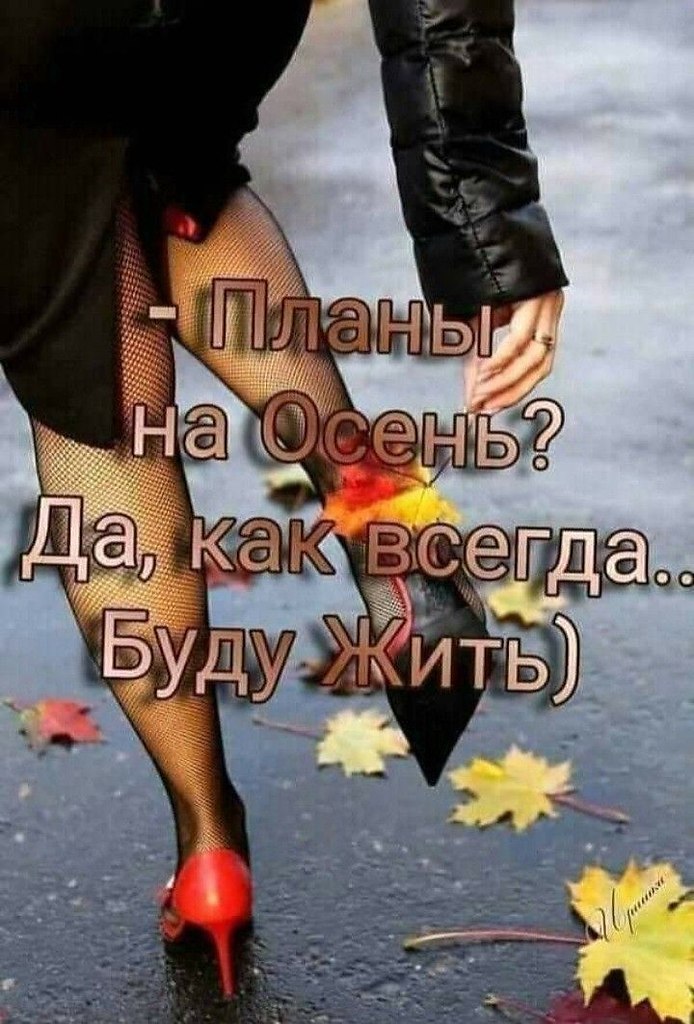 Всё будет хорошо! - 22 сентября 2025 в 11:16