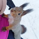 ���� �����, ����������, 51 ��� - ��������� 23 ������ 2025