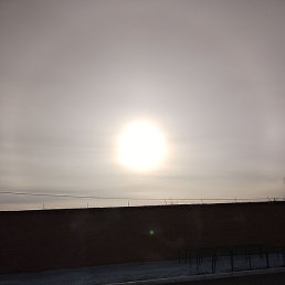 �������, ������, 62 ����