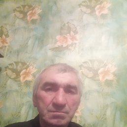 , 52 , 