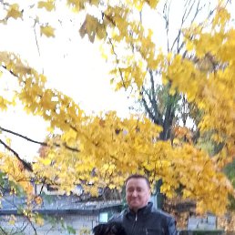 ���, ������, 48 ���