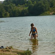  ., 44 , 