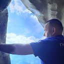���� �����, �������, 50 ��� - ��������� 17 �������� 2025 � ������ ���� ����������