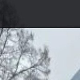 ����, ��������, 55 ���