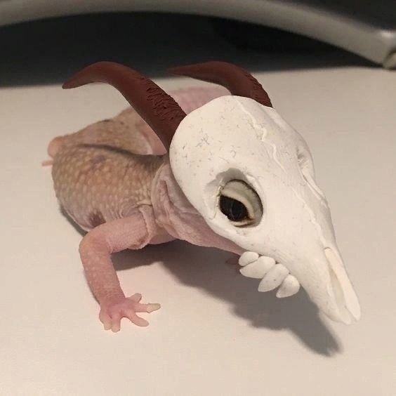     ? - 9
