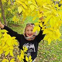 ���� ������, ����-��������� - ��������� 14 ������ 2023 � ������ ������ ��������