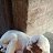 ���� Salman Ali, ������, 18 ��� - ��������� 11 ��� 2026