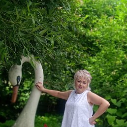 ���� ������, �������, 56 ��� - ��������� 1 ������� 2024