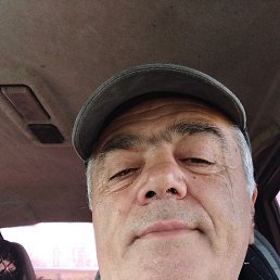 , 61, 