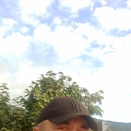 , 61, 