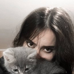 ���� ����, ������, 26 ��� - ��������� 8 ������ 2024