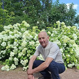 ���� ������, ������������, 68 ��� - ��������� 2 ���� 2025